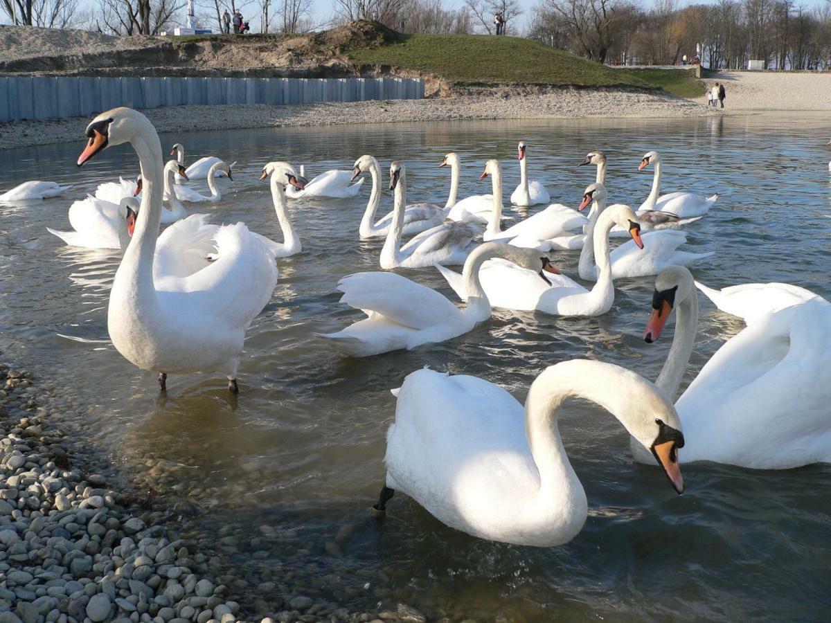 Calla Apartment Zagreb - Novi Apartman, Garaza, Video Nadzor Exteriér fotografie